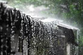 বৃষ্টি নিয়ে বার্তা দিল আবহাওয়া অধিদফতর