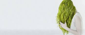 Use a conditioner for colored hair. How To Repair Green Hair After Swimming Pool Supplies Canada