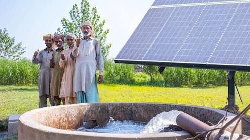 Pakistan Agricultural Census 2024: Farms Shrink Fast