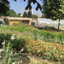 Et sur les pentes de belleville, les jardins, petits ou grands, sont finalement nombreux: L Incroyable Jardin Fleuri Du Cimetiere Belleville Paris Zigzag Insolite Secret