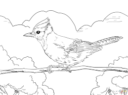 Currently over 10,000 on display for your viewing pleasure Perched Blue Jay Coloring Page Free Printable Coloring Pages Bird Coloring Pages Bird Coloring Page Bird Coloring