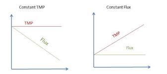 Membrane Wikipedia