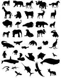 Animal Silhouettes Isolated Animal Silhouette African Animals Silhouette