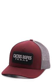 While many cacti can produce offsets, not all species can. Hooey Cactus Ropes Burgundy Trucker Mesh Fitted Cap Cavender S