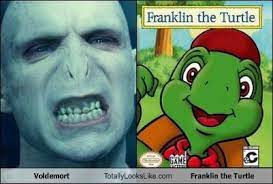 Totally Looks Like Turtle Cheezburger