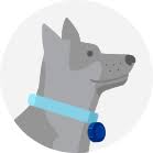 Optimum Wellness Plans Banfield Pet Hospital