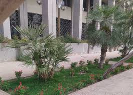 Assiut university faculty of medicine (aufom) was established in 1960. Ù„Ù†Ø´Ø± Ø§Ù„Ù…Ø³Ø§Ø­Ø§Øª Ø§Ù„Ø®Ø¶Ø±Ø§Ø¡ Ø¬Ø§Ù…Ø¹Ø© Ø­Ù„ÙˆØ§Ù† ØªØ´Ù‡Ø¯ Ø£Ø¹Ù…Ø§Ù„ ØªØ´Ø¬ÙŠØ± Ø¯Ø§Ø®Ù„ Ø§Ù„Ø­Ø±Ù… Ø§Ù„Ø¬Ø§Ù…Ø¹ÙŠ Ø§Ù„Ù…ØµØ±ÙŠ Ø§Ù„ÙŠÙˆÙ…