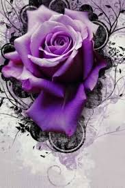 Purple Rose Purple Roses Purple Flowers All Things Purple