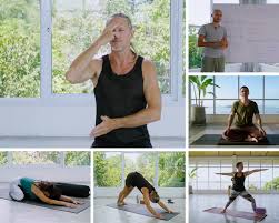 yoga teacher courses