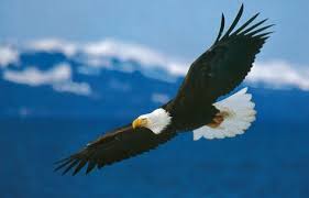 The Prayer Eagles Club Home Facebook