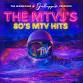 The MTVJ’s - Hits of the 80s