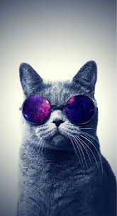 You can also upload and share your favorite keqing wallpapers. 40 Awesome Iphone 6 6 Wallpapers Binatang Seni Kucing Hewan