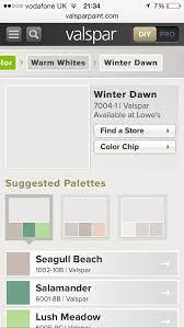 Winter Dawn Pale Grey Paint Colour