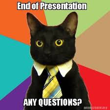 End Of Presentation Any Questions Meme Generator At Memecreator Org Business Cat Business Cat Meme Funny Cat Memes