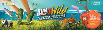 I run to save our malayan tiger! Wwf Run For Wild 2019 Volunteering In Hong Kong