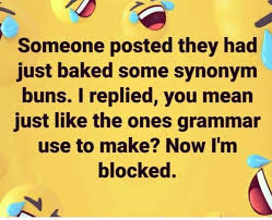 Someone Posted They Had Just Baked Some Synonym Buns I Replied You Mean Just Like The Ones Grammar Used To M Sassy Quotes Funny Picture Quotes Fun Quotes Funny