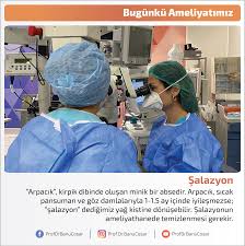 Arpacik Kirpik Dibinde Olusan Minik Bir Absedir Arpacik Sicak Pansuman Ve Goz Damlalariyla 1 1 5 Ay Icinde Iyilesmezse Salazyon Dedigim 2020 Kirpik Yag Kina
