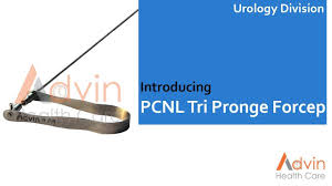 Pcnl Triprong Forceps For Kidney Stone Removal In 2020 Kidney Stones How To Remove Kidney