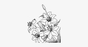 Transparent background aesthetic flower png black and white. Flores Png Deviantart Aesthetic Flower Art Transparent Background 500x500 Png Download Pngkit