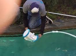 Unfortunately many only do the absolute minimum. Carmel Valley Pool Service And Cleaning Protouch Pool Services