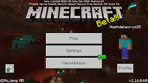 › discover the best images www.mcpehaxs.com images. Bedrock Edition Beta 1 16 0 60 Minecraft Wiki