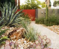 Steve Martino Landscape Architect Succulent Landscaping Succulent Landscape Design Water Wise Landscaping