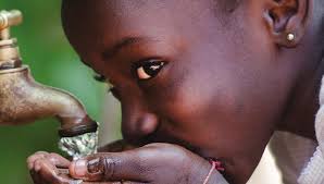 Quarterly Newsletter