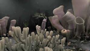 Image result for Vausagesia