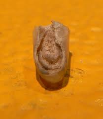 Maybe you would like to learn more about one of these? Smartstyling Canine Nails 101
