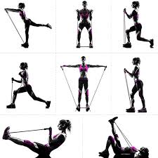 Fitness Resistance Bands Resistance Band Handles Resistance Bands Workout Exercise Resistance Band Set Resistance Band Exercises Band Workout Resistance Band