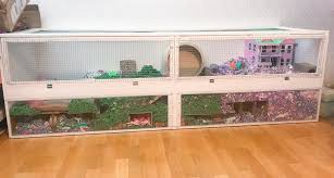 The earliest known use of the hamster reaction was used on january 13th, 2019 by tiktok user @beanboy22. Hamster Cage Wikipedia