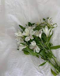 Izzydilg In 2020 Beautiful Bouquet Of Flowers Spring Flowers Photography Flower Aesthetic