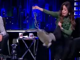زنبور عسل خيلي پيش از انسان در روي زمين بوجود آمده و زندگي مي‌كرده است. Ù‚Ø±Ø¯ Ù…Ù‚Ø¯Ù… Ø¨Ø±Ù†Ø§Ù…Ø¬ ÙƒØ±ÙŠØ²ÙŠ ØªØ§ÙƒØ³ÙŠ ÙŠØ¹ØªØ¯ÙŠ Ø¹Ù„Ù‰ Ù„Ø¨Ù†Ù‰ Ø¹Ø³Ù„ ÙÙŠØ¯ÙŠÙˆ Ù…ØµØ±Ø§ÙˆÙ‰