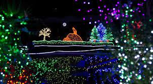 Point Defiance Zoo Aquarium Zoolights 2012 Point Defiance Zoo Zoo Lights Holiday Lights