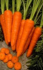 How To Grow Carrot Seeds Ehow Growing Vegetables Veg Garden Edible Garden
