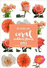 The color is named after the sea animal also called corals. The Essential Coral Wedding Flowers Guide Types Of Peach Flowers Names Seasons Pics Coral Wedding Flowers Wedding Flower Guide Peach Wedding Flowers