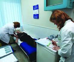 Acum si aceasta categorie castiga ceva mai multi bani. Top Exclusiv Peste 23 000 De Lei Pe LunÄ Pentru Cel Mai CÄutat Medic De Familie