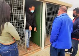 Dos jóvenes de Antigua abren un Hotel Canino y Centro de Adiestramiento -  Radio Insular