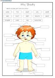 Live worksheets > english > english as a second language (esl) > parts of the body. Body Parts Worksheet Exercises Worksheets Fractions Shapes Game Group Math Wick Year 3 Addition Grade Homework Great Schools Image Sumnermuseumdc Org