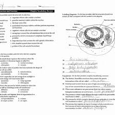 Mitosis coloring cei division includes a very important process called mtoss where the nudeus aeates a 때of tnsoa so w each new exact copy of the. Interphase Cell Cycle Diagram Worksheet Printable Worksheets And Activities For Teachers Parents Tutors And Homeschool Families