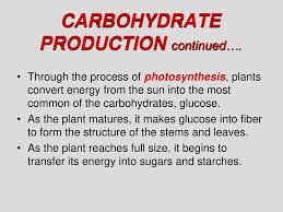 ›› more information from the unit converter. Sugars Simple Carbohydrates Ppt Download