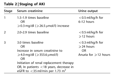 The clinical framework doctors use to stage sudden kidney damage severity, AI generated