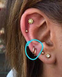 would these circled piercings require studs to heal or are rings acceptable piercing und co acceptabl earings piercings pretty ear piercings piercings