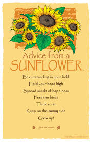 Advice From A Sunflower Postcard Your True Nature Sunflower Quotes Flower Quotes Garden Quotes Signs