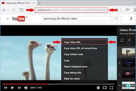Free Youtube To Mp3 Converter App For Windows Mac Android Youtube Playlist Free Youtube Youtube