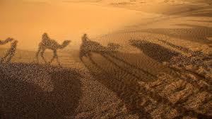 One of the oldest centres of civilisation in the middle east, yemen has attracted doreen and her husband harold were the last europeans to travel extensively by camel across yemen. Arabian Beats Lite Trance Slideshow Camels In Desert Youtube