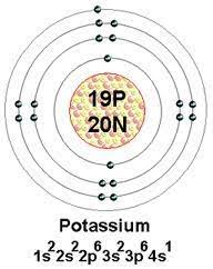 The Electron Configuration Of Potassium And Its Atomic Number Atom Model Bohr Model Atom Model Project