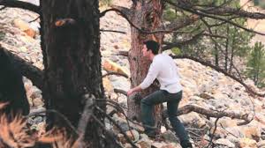 THE DAWN CHOSE ORION