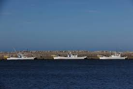 Cintia cossio desnuda en onlyfans