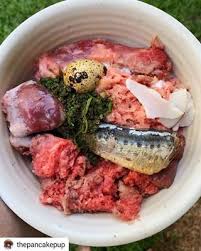 Nutritional Values Of Vegetables Canine Nutrition Raw Diet Ingredients Raw Food Diet Raw Food Recipes Nutritional Value Of Vegetables